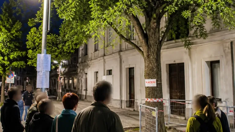 V Brně má padnout třicetiletý jinan kvůli kanalizaci. Obyvatelé se brání