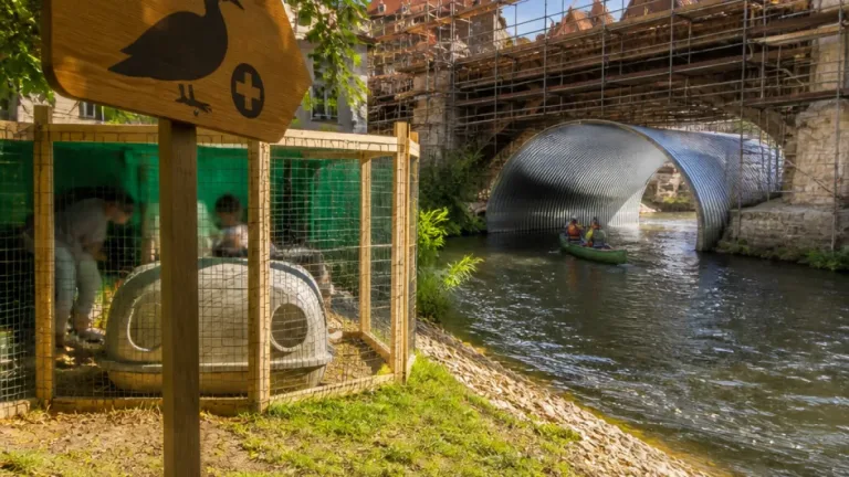 V Českém Krumlově opravují most, pro vodáky postaví tubus; ZOO Hluboká pečuje o opuštěná mláďata