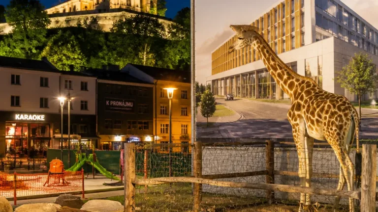 V Olomouci přibyly nové „kočky“ i žirafa, nemocnice zveřejnila podobu pavilonu C1