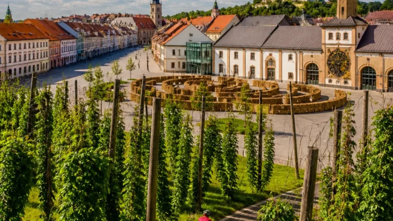 Žatec láká na chmelovou historii, pivní orloj a vyhlídky. Jak si naplánovat výlet