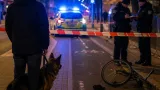 Angriff in Rostocker Straße: Mann beim Spaziergang mit Hund in Cottbus geschlagen und bedroht