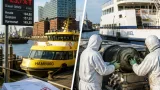 Gestiegene Schiffstreibstoffpreise belasten Hadag und Kieler Fährbetrieb