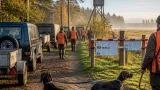 Mecklenburg‑Vorpommern führt die Bundesliste bei Jägerdichte – Wildschweinbestände bleiben im Fokus