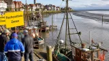 WWF fordert fischereifreie Zonen: Krabbenfischerei in Schleswig-Holstein soll um rund 25 Prozent beschränkt werden