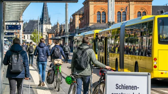 Zugausfälle zwischen Forst und Cottbus: Ersatzbusse und verkürzte DB‑Verbindungen