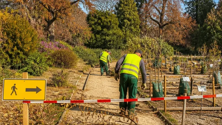 Dürre setzt Botanischen Gärten in Baden‑Württemberg schwer zu — Bäume und Forschung in Gefahr