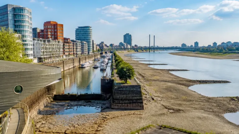 Düsseldorf nach der Hitze: Regen reicht nicht, Dürre und niedriger Rheinpegel bleiben
