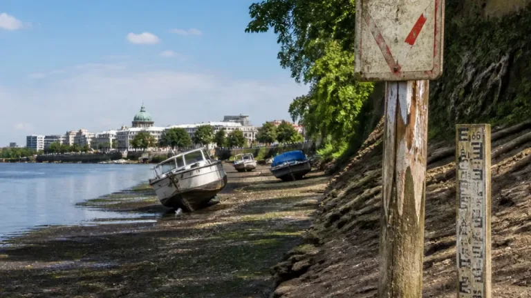 Niedrigwasser in Brandenburg bleibt akut – Sorgen um Spree und Grundwasser