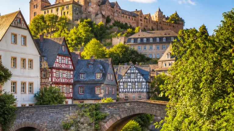 Provokative PETA-Aktion auf dem Oberstadtmarkt: Diskussion über Tierleid in Marburg angestoßen
