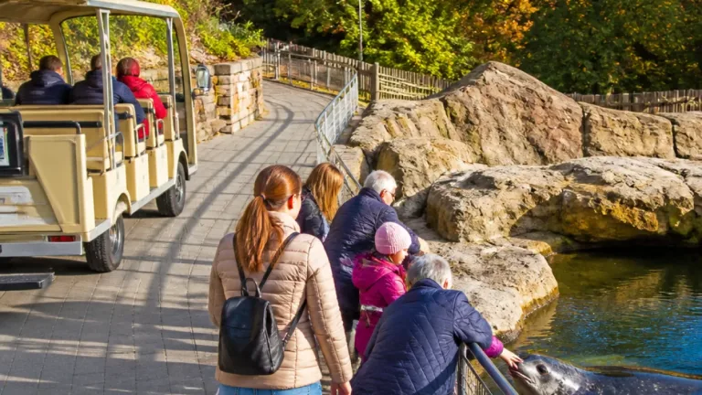 Saarbrücken: Zoo bietet barrierefreie Führungen mit E‑Wagen und Sinneserlebnissen