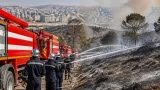 الحماية المدنية: أكثر من 141 ألف هكتار تضررت جراء حرائق الغطاء النباتي منذ بداية الموسم