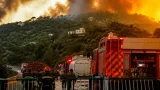 الجزائر تشهد موجة حرائق واسعة ومقتل 12 شخصًا و193 حريقًا تُسجّل خلال 24 ساعة