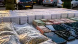 المجموعة الإقليمية للدرك بغليزان تفكك 3 شبكات وتحجز نحو 60 كلغ من الكيف المعالج