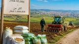 الشلف تسعى لتحقيق أكثر من مليون قنطار حبوب بموسم 2026/2027 عبر توسيع المساحات وبرامج دعم