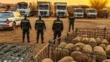 أم البواقي: الدرك يفكك شبكة مكونة من 17 عنصراً متورطة في سرقات مواشي واعتداءات