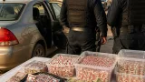 أمن ورقلة يفكك شبكة عائلية لترويج "بريغابالين" ويحجز 2328 كبسولة