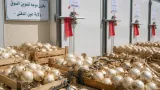 عين الدفلى تغلق غرف تبريد وتشرع في تكوين مخزون منظم للبصل الجاف