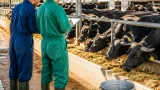 غليزان: مديرية المصالح الفلاحية تقوم بخرجة ميدانية لتوجيه منتجي الحليب وتحسين المردودية