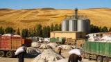 غليزان تسجل إنتاجاً إجمالياً يقدر بـ1.29 مليون قنطار من الحبوب في موسم 2026