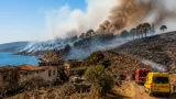 حصيلة أولية: 73 قتيلاً وخسائر واسعة جراء حرائق الغابات في جيجل