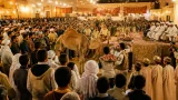إحياء «المعروف» في حي مرماد بالغرداية بعد غياب 12 سنة بحضور محلي واسع