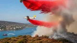 جيجل تسجل أكثر بؤرتين نشبت فيهما حرائق الغطاء النباتي وتستدعي تدخلًا جويًا