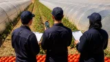 لجنة ولائية تقيّم مردودية حقول الطماطم الصناعية بسطيف وتحدد مؤشرات الموسم