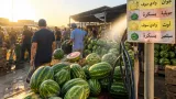 لماذا يتوفر البطيخ في أسواق سوق أهراس خارج موسم الصيف التقليدي؟