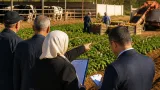 مديرية المصالح الفلاحية بالمسيلة تواصل مرافقتها للفلاحين في شعبتي البطاطا والحليب
