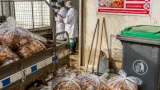 مديرية التجارة بسوق أهراس تُصادر 7.5 كلغ دجاج محمر وتُتلفها إثر حملة رقابية مفاجئة