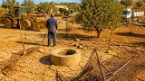 مزارع بالجلفة يتهم آليات رسمية باقتلاع سياج أرضه وتهديد آبار وأشجار مثمرة