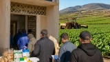 قالمة تطلق برنامجاً لإنتاج البطاطا غير الموسمية وتدعو الفلاحين للتسجيل