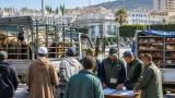 سكيكدة تواصل توزيع الأبقار والدواجن كتعويض عيني للفلاحين المتضررين من حرائق جويلية وأوت