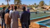 تيميمون: زيارة ميدانية حول تكييف تربية البلطي في المناطق الصحراوية وتشجيع الاستثمار