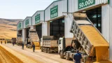 تيسمسيلت تحقق إنتاجًا قياسيًا من الحبوب بـ516.400 قنطار وتدعم قدرات التخزين