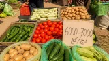 وفرة الخضر والفواكه تخفف الضغط على الأسواق وتحفّز إجراءات لخفض أسعار البطاطا