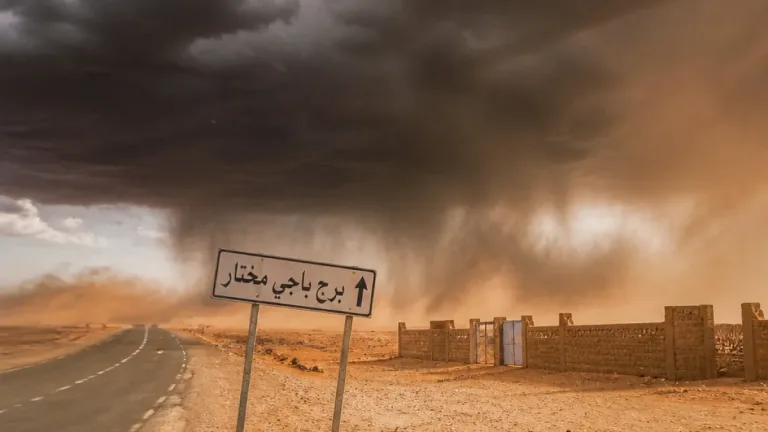 الديوان الوطني للأرصاد يحذّر: أمطار رعدية ورياح وزوابع رملية تشمل برج باجي مختار