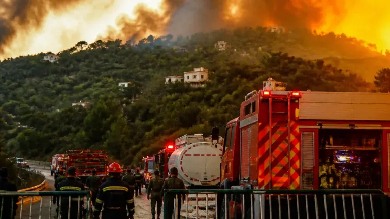 الجزائر تشهد موجة حرائق واسعة ومقتل 12 شخصًا و193 حريقًا تُسجّل خلال 24 ساعة