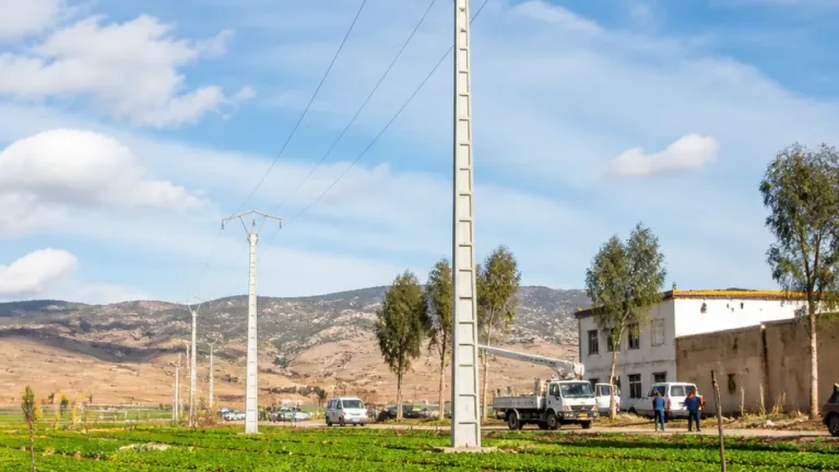 ولاية قالمة تسارع ربط المحيطات الفلاحية بالكهرباء وتكثف إجراءات تحسين الخدمات العمومية