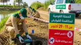 قنا تطلق حملة واسعة لمكافحة الفئران بين 11 و29 أكتوبر لحماية المحاصيل