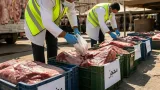 ضبط 214 كيلو لحم بقري فاسد ومذبوح خارج المجازر بأسوان.. حملات رقابية مكثفة