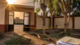 إحالة مسؤولين للتحقيق في سوهاج بعد تقليم جائر لأشجار معمرة داخل مدرستين بمركز ساقلتة