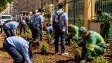 الجيزة تطلق مبادرة «اتحضر للأخضر» لتدريب تلاميذ المدارس على الزراعة والحفاظ على المشهد الحضاري