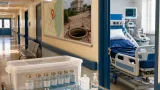 تعامل مستشفى صدر المنيا مع حالات لدغات ثعابين وحادث بيارة مخلل يسلطان الضوء على جاهزية الطوارئ