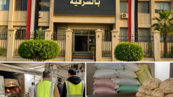 تموين الشرقية: تحرير 734 محضراً في حملات مكثفة لضبط الأسواق خلال أسبوع