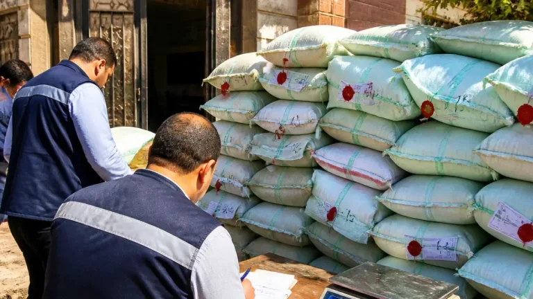 حملات رقابية بالدقهلية تضبط 220 كجم لحوماً فاسدة وتحرر 109 مخالفات في mercados