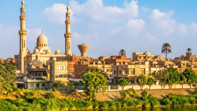 تلميذ 12 عامًا يتعرض لإصابة برش خرطوش خلال مشاجرة بمزرعة في سمالوط