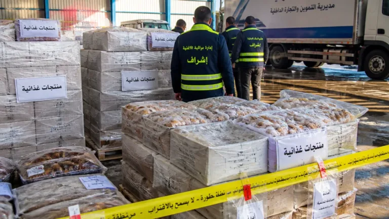 المنوفية تضبط 20 طناً من مواد غذائية مجمدة منتهية الصلاحية وتحرر 719 محضراً تموينياً