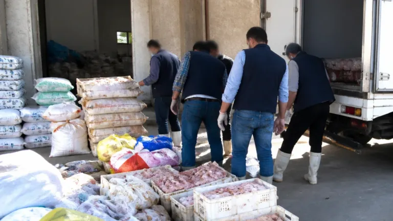 التحفظ على نحو طن من اللحوم والدواجن الفاسدة في حملة تفتيشية بغرب شبين الكوم