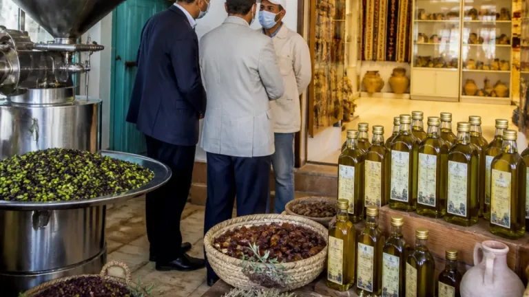 مطروح تقترح مهرجان سنوي لحصاد الزيتون والتراث البدوي لتعزيز السياحة والدخل المحلي